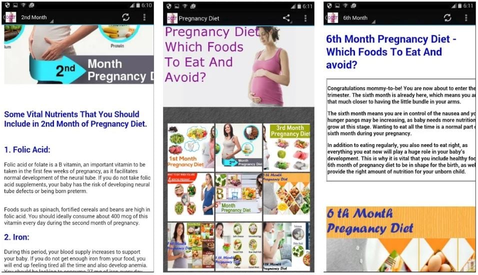 Metro blog Pregnancy Diet App