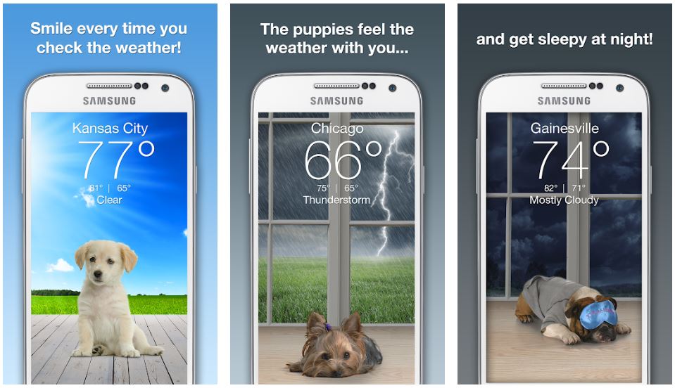 Metro blog weather puppy app
