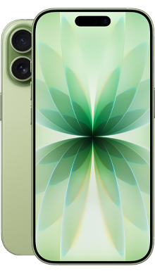 iPhone 17 256GB Sage
