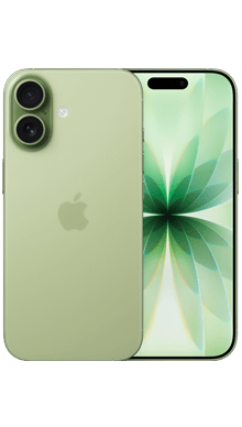 iPhone 17 256GB Sage
